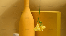 demo-attachment-2944-pexels-daria-liudnaya-7354715